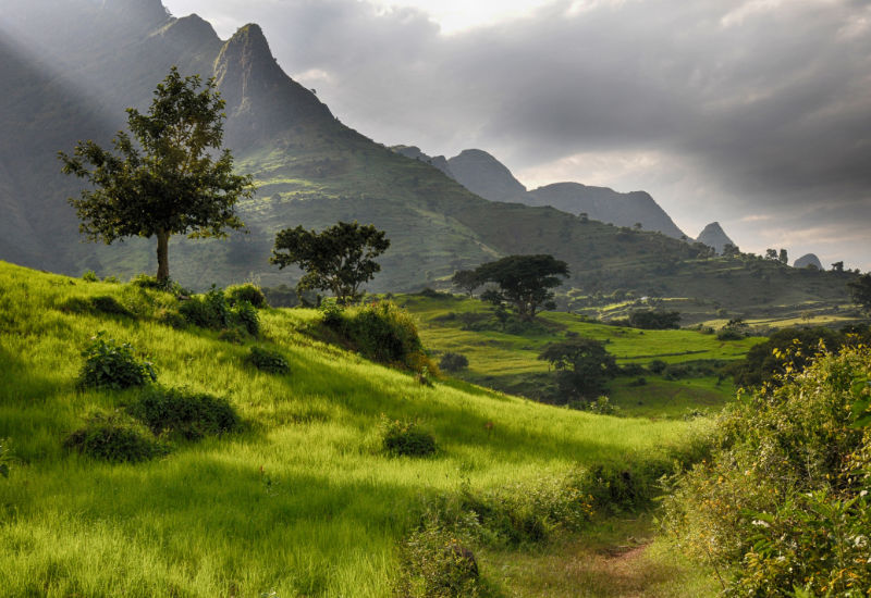 Green fields in Ethiopia with mountain peaks rising behind